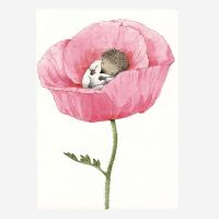 Postkarte „Baby Igel in Blüte“ von Lena...