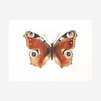 Postkarten Set „Schmetterlinge von Ode Desjardins 2