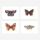 Postkarten Set „Schmetterlinge von Ode Desjardins 6
