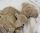 Kuscheltier Kamel mit Wärmekissen von Senger aus Bio-Baumwolle (vegan)