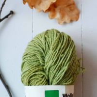 Strickwolle Wolle/Seide von Filges pflanzengefärbt in grün