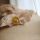 Baby Schnuller Daisy von Frigg aus Latex in chamomile
