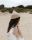 Beanie Mütze Fonzie von Hvid aus Merinowolle in sand