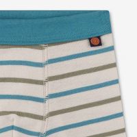 Kinder Boxershorts aus Bio-Baumwolle von Sanetta in Streifen caribic 2