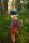 Mütze Robin von New Kids in the House aus Bio-Baumwolle mit Plüschfutter in woodlands 2