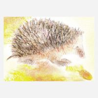 Postkarte „Igel von Carla Grills